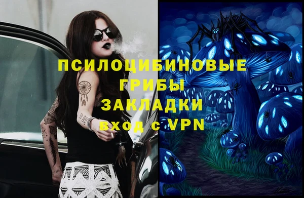 кокс Осташков