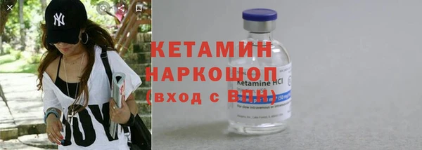 ПСИЛОЦИБИНОВЫЕ ГРИБЫ Осинники