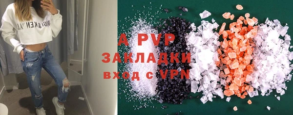 ПСИЛОЦИБИНОВЫЕ ГРИБЫ Осинники