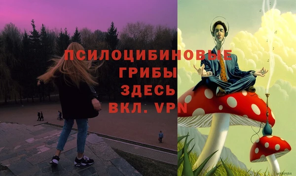 ПСИЛОЦИБИНОВЫЕ ГРИБЫ Осинники