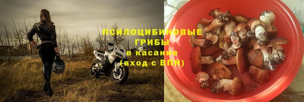кокс Осташков